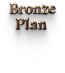 bronze Plan