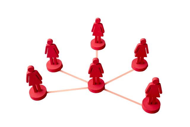 Sales & Pipeline Management